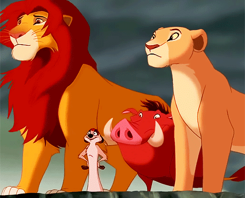 tumblr_n56biodipx1qd08w0o1_500