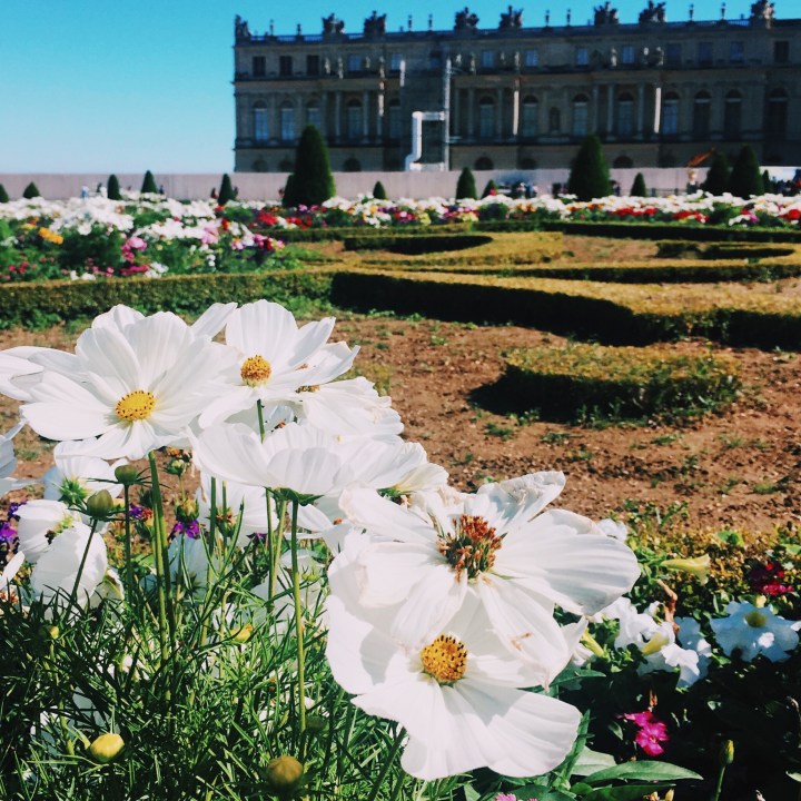 Processed with VSCO with c6 preset