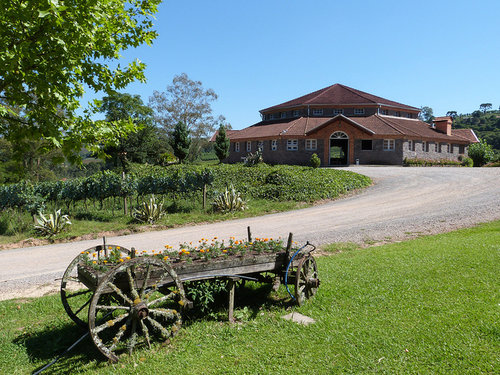 vinicola_salvati___sirena-20000000004594509-500x375