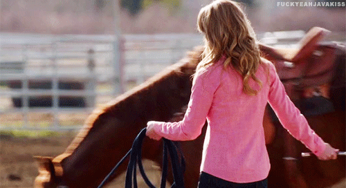 38410a3a0ca542663a75dcd57498c4b0