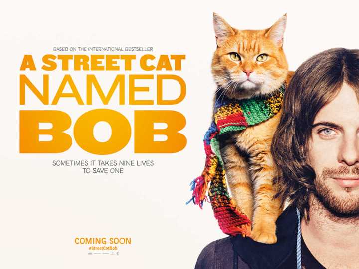 Dica de filme: A Street Cat Named&nbsp;Bob
