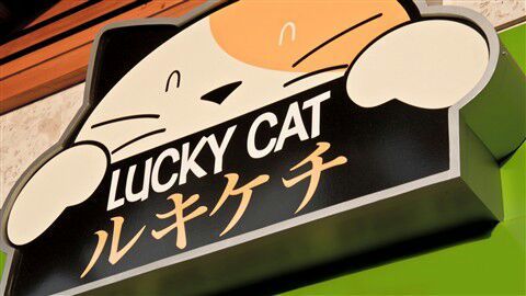 2014a0c74b8348c5bcb0fae95b1aa6fd6c3e82ab_hq