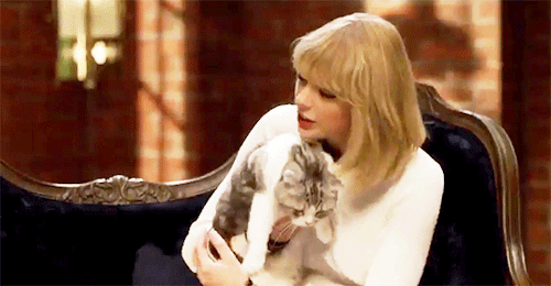 tumblr_oi4xqnokbk1vng8dpo1_500