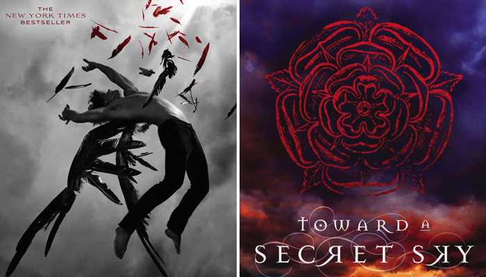 Se você gostou de Hush Hush, vai gostar de Toward a Secret&nbsp;Sky