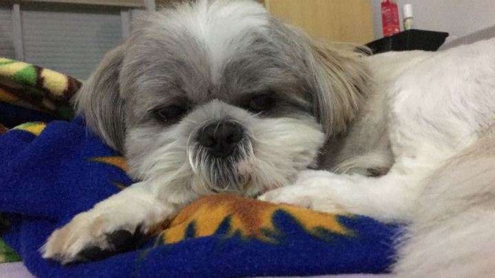 Favoritos de setembro da&nbsp;Renata